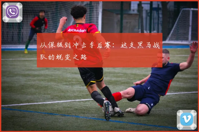 从保级到冲击季后赛:这支黑马战队的蜕变之路