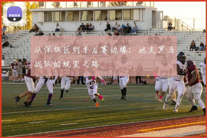 从保级区到季后赛边缘:这支黑马战队的蜕变之路
