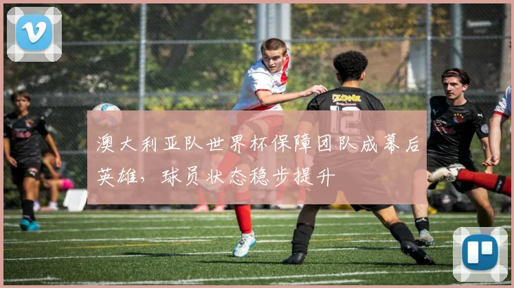 澳大利亚队世界杯保障团队成幕后英雄,球员状态稳步提升