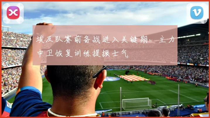 埃及队赛前备战进入关键期,主力中卫恢复训练提振士气
