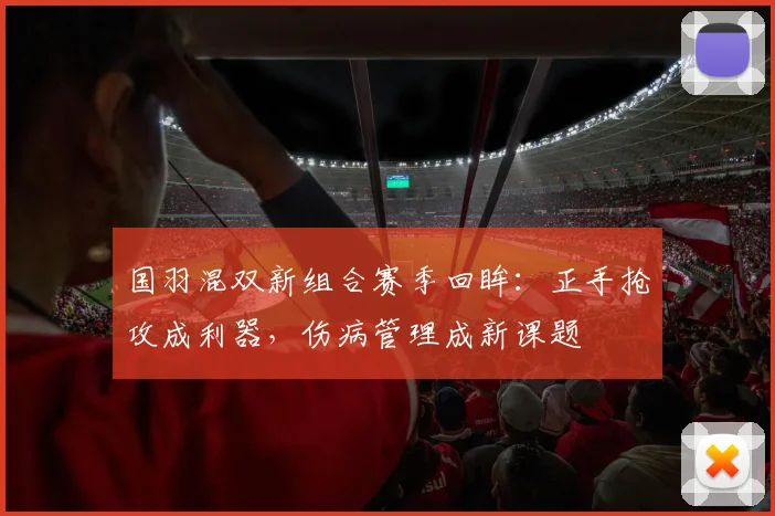 国羽混双新组合赛季回眸：正手抢攻成利器，伤病管理成新课题